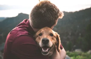 Pet Loss Coach Training Online Build Skills to Support Grieving Pet Parents