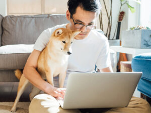 Pet Loss Coach Training Online – Guiding Hearts Through Healing