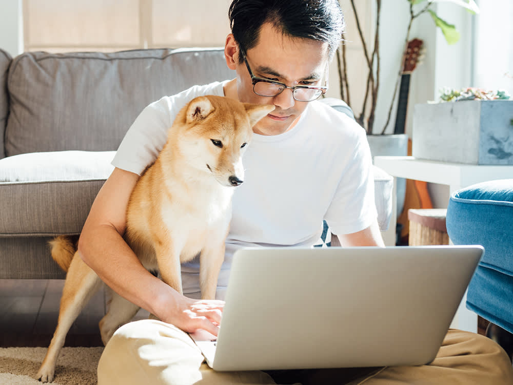 Pet Loss Coach Training Online – Guiding Hearts Through Healing